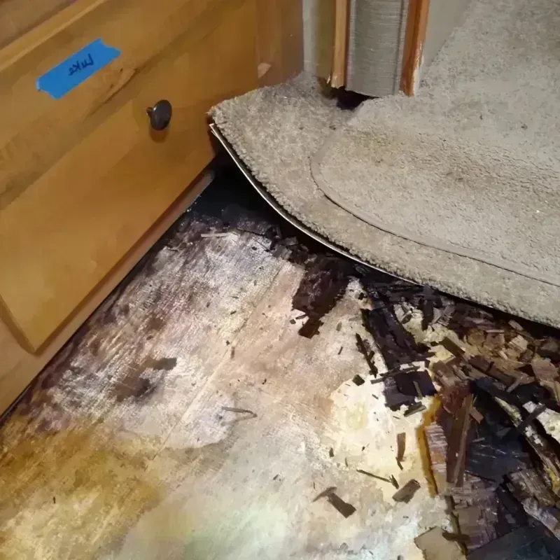 Best Wood Floor Water Damage Service in Smyrna, DE